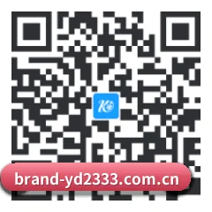 Android 系统版 二维码